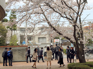 20160403高校入学式01.JPG