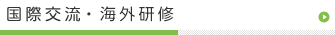 国際交流