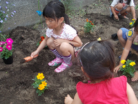 お花を植えたよ