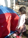 テントをたてて、キャンプをしています