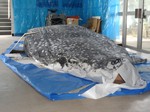 2012_07_04_02.jpg