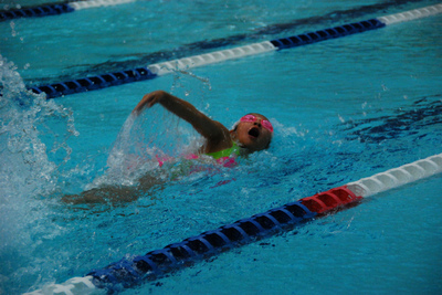 2014水泳大会 (210).jpg
