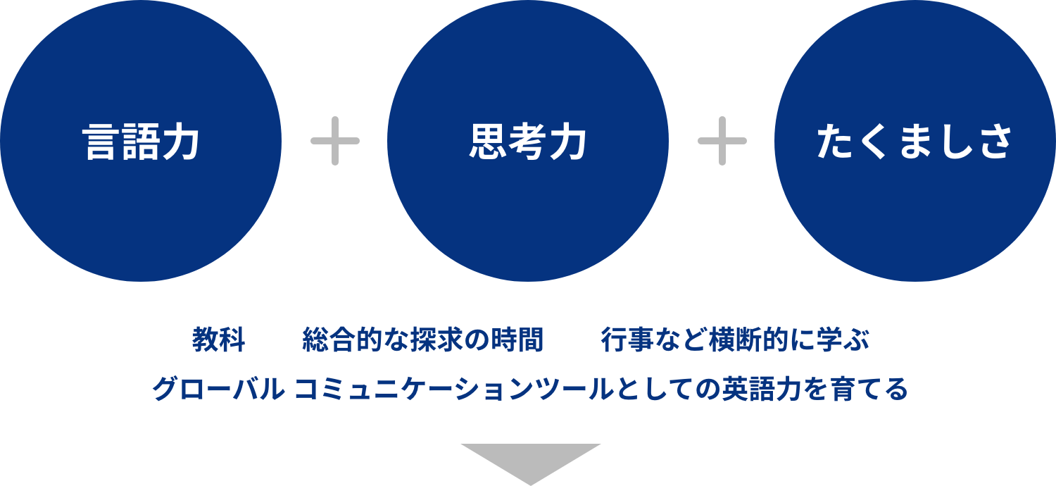 言語力 + 思考力 + たくましさ