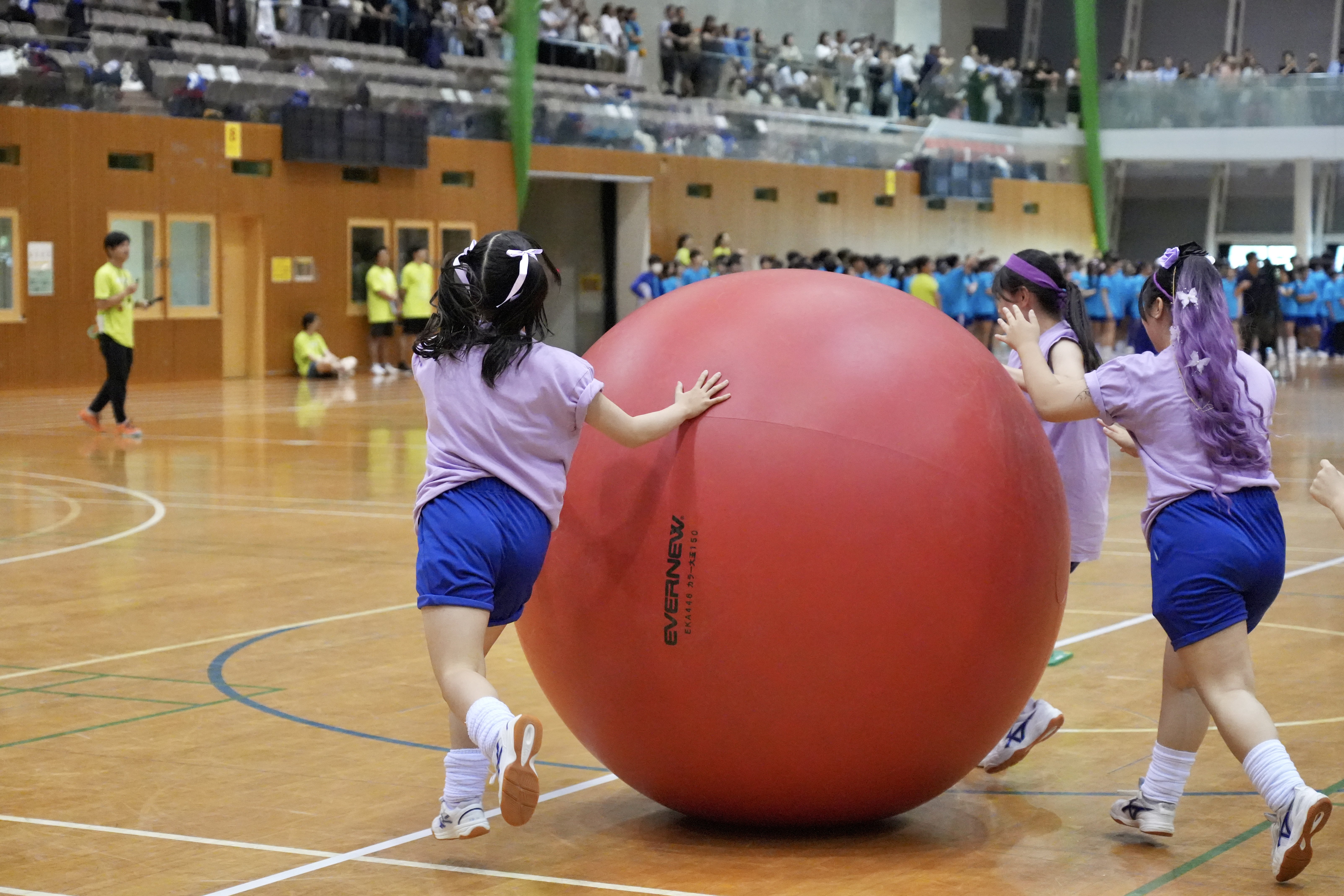 DSC00764.jpg