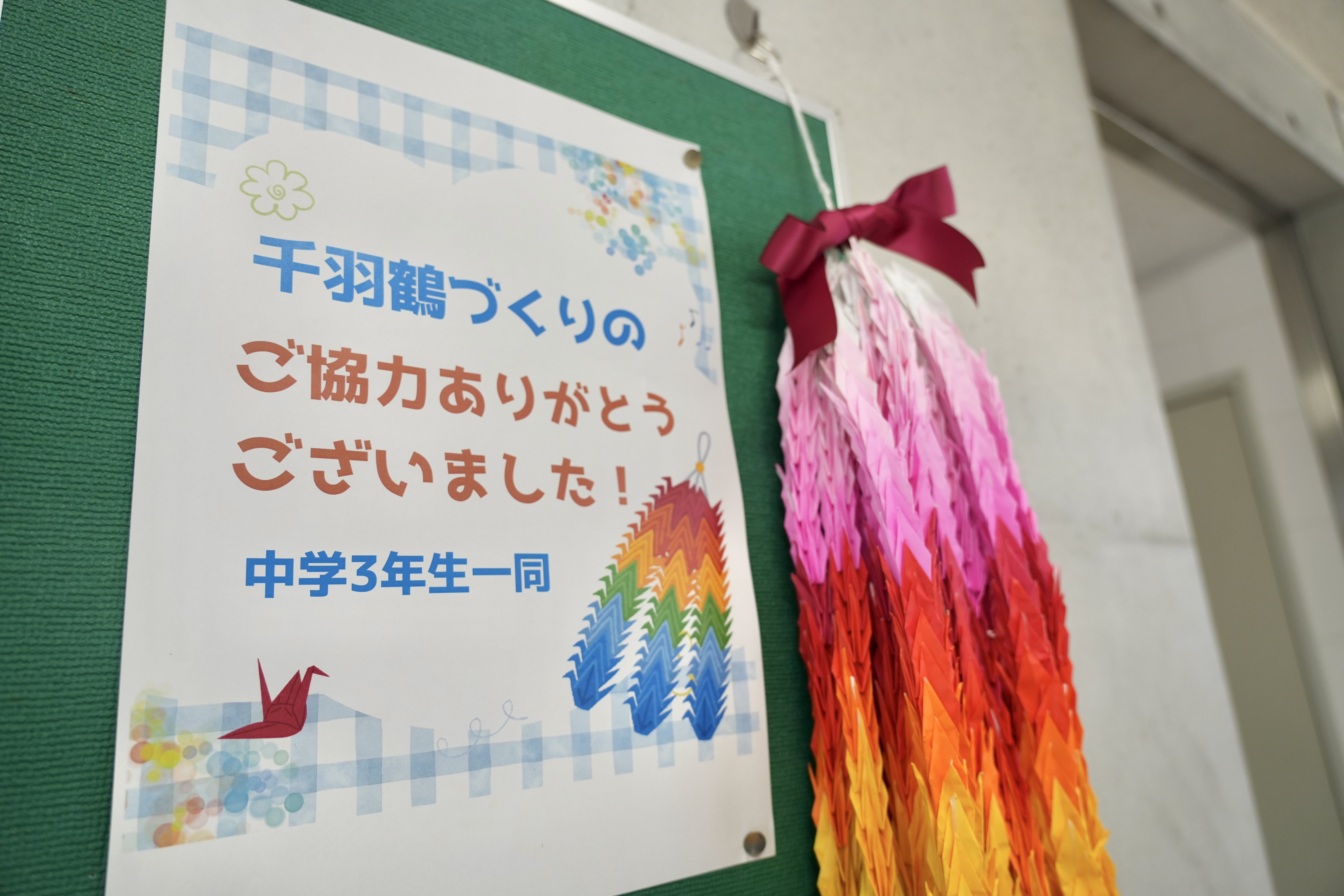 DSC06041.jpg