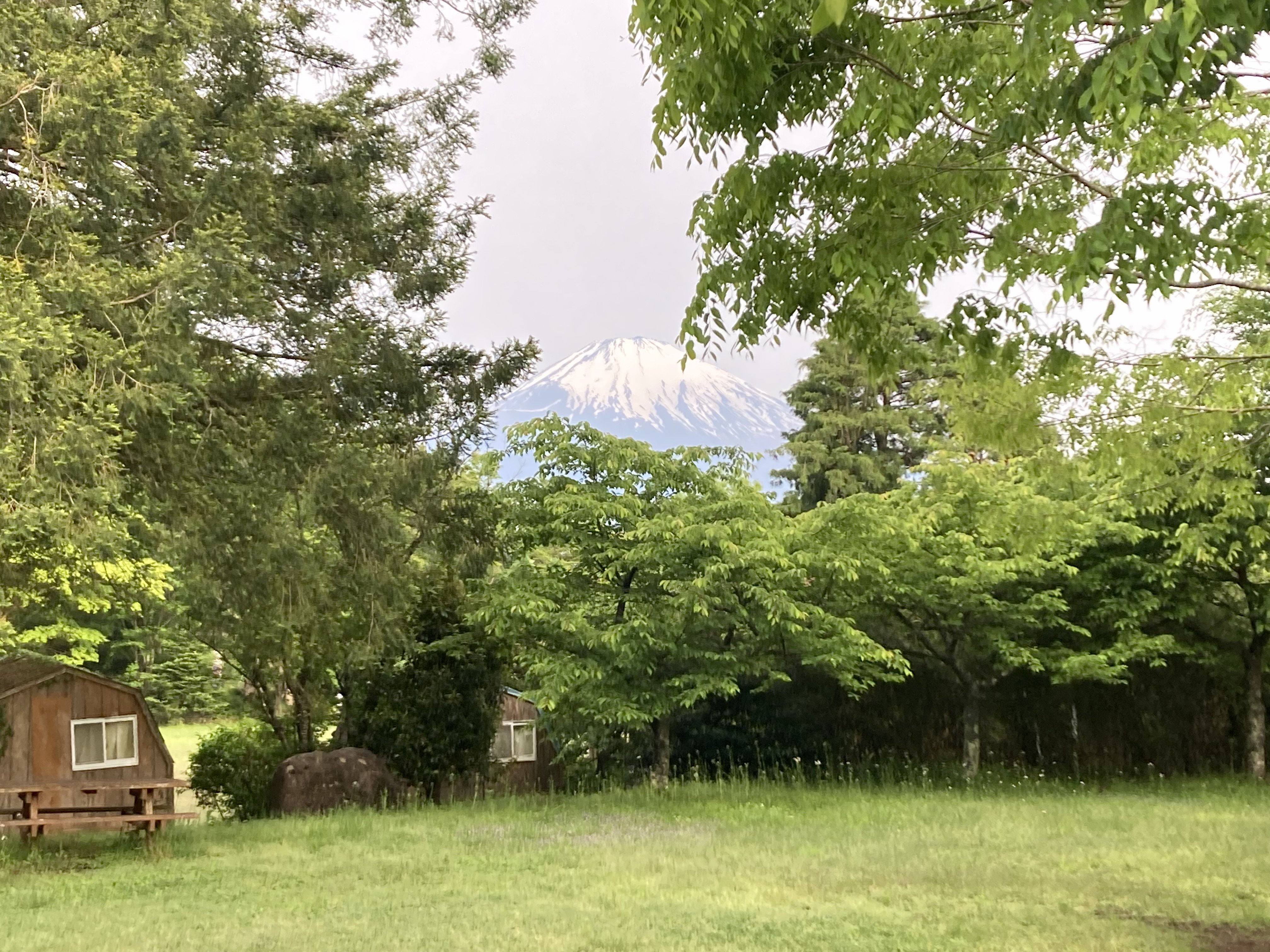 IMG_2292.jpeg