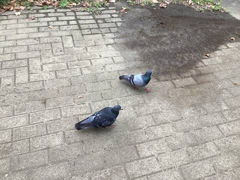 image007.jpg