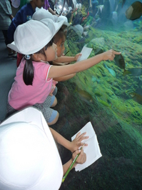 P1150266.JPGのサムネイル画像
