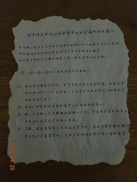 DSC01519.jpg