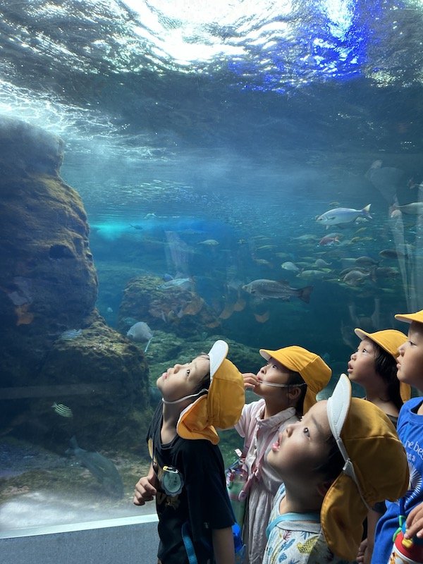 水族館へ！