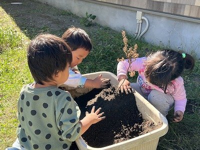 さんねんたったらね