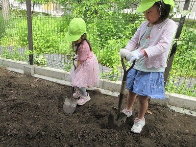 IMG_7757.jpg
