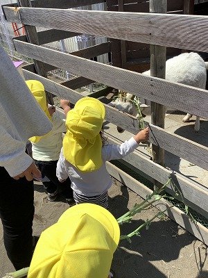 花が咲く