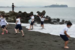 海岸散歩