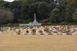 ２日目　英連邦戦死者墓地 (11).JPG