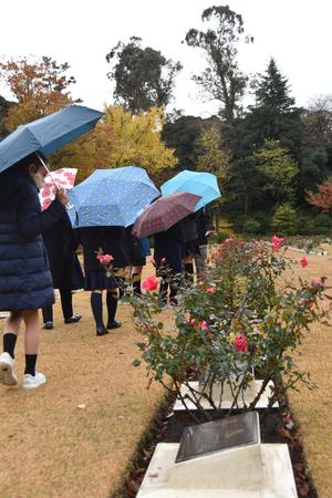 ２日目　英連邦戦死者墓地 (17).JPG