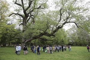 ３年ぶりの山中湖自然教室！