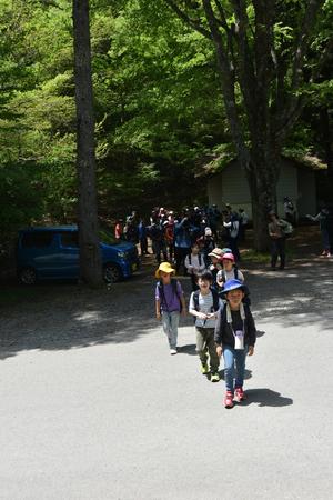 自然教室　（５年ぶりのハイキング！）