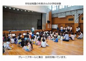 25_0529　幼稚園-01.jpg