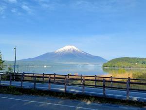 IMG20250515062735.jpg