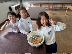 biwa (6).jpg