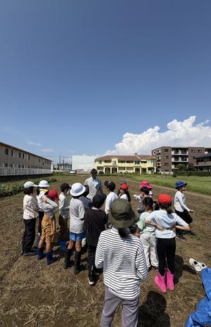 ３・４年生　畑の学習～つる返し～