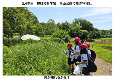 3，4年生　里山公園で生き物観察