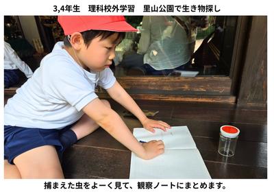 2026-05-22　3，4年里山公園 (2).jpg