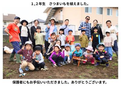 2026-06-10　サツマイモ植え (3).jpg