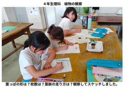 2026-06　授業の様子 (2).jpg