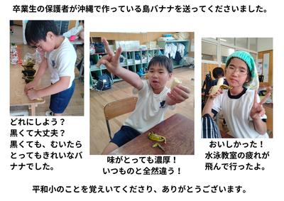 2026-06-11　島バナナ (2).jpg