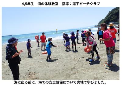 2026-07-09　海の体験教室 (4).jpg