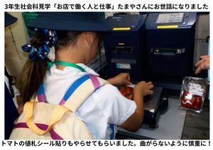 2026-09-14　3年生たまや見学 (5).jpg