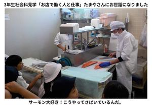 2026-09-14　3年生たまや見学 (1).jpg