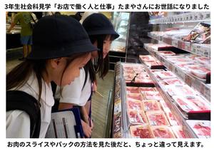 2026-09-14　3年生たまや見学 (4).jpg