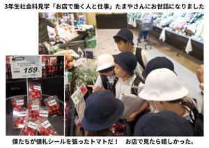 2026-09-14　3年生たまや見学 (6).jpg